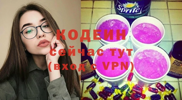 хмурый Анива