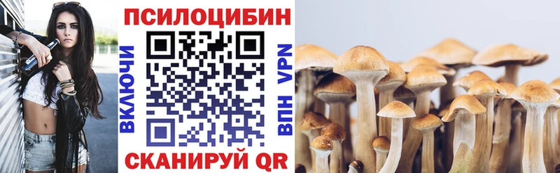 Псилоцибиновые грибы мицелий купить наркотики сайты Ханты-Мансийск